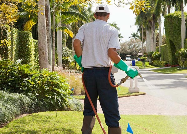 About Crystal City MO Pest Control